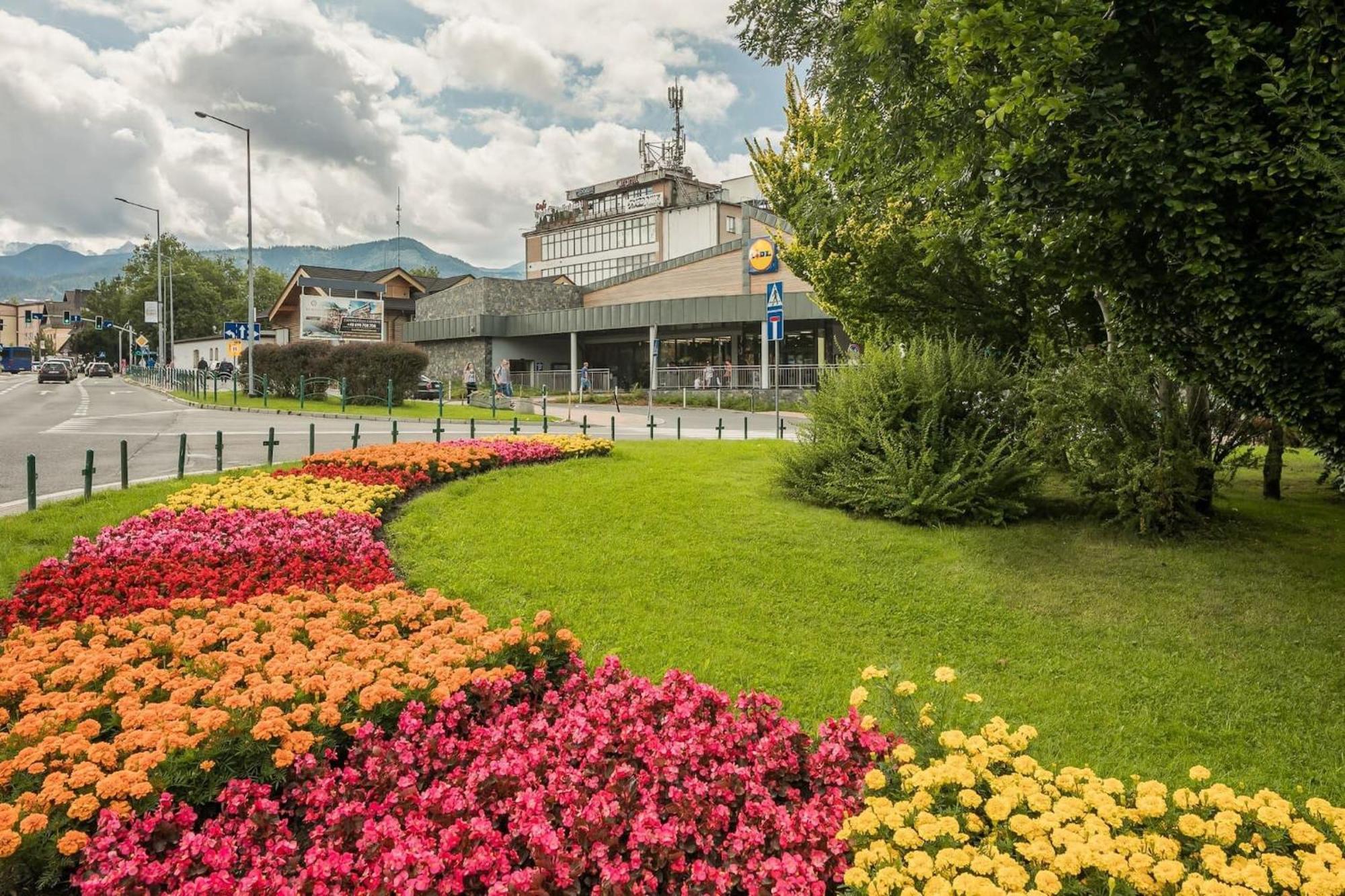 Rent like home - Zborowskiego 1 Zakopane Zewnętrze zdjęcie